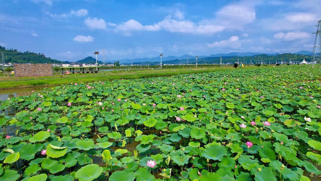 四川开江县遭暴雨突袭 中粮可口可乐紧急调配饮用水驰援