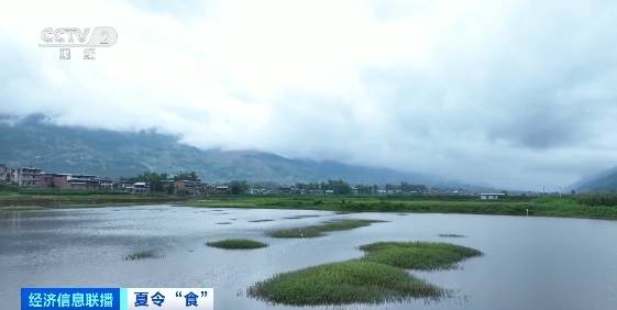 哈尔滨市开江民俗文化周开幕：游客谷雨时节品鱼宴