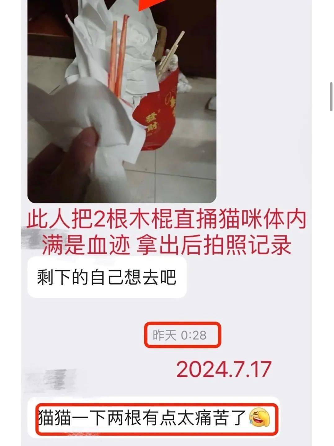 高职高考状元：李海榕的卓越之路