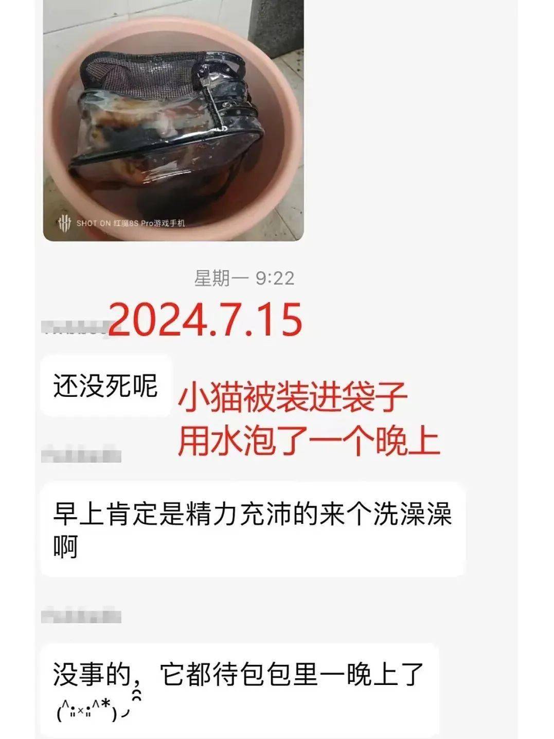 酷开亲友圈手机版下载-酷开亲友圈下载app代理版V6.9.4