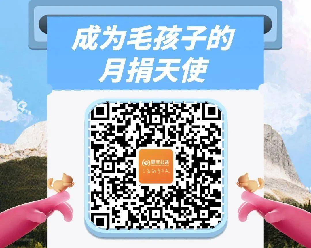 贝林厄姆近2年过人成功率63.8%，是五大联赛最高