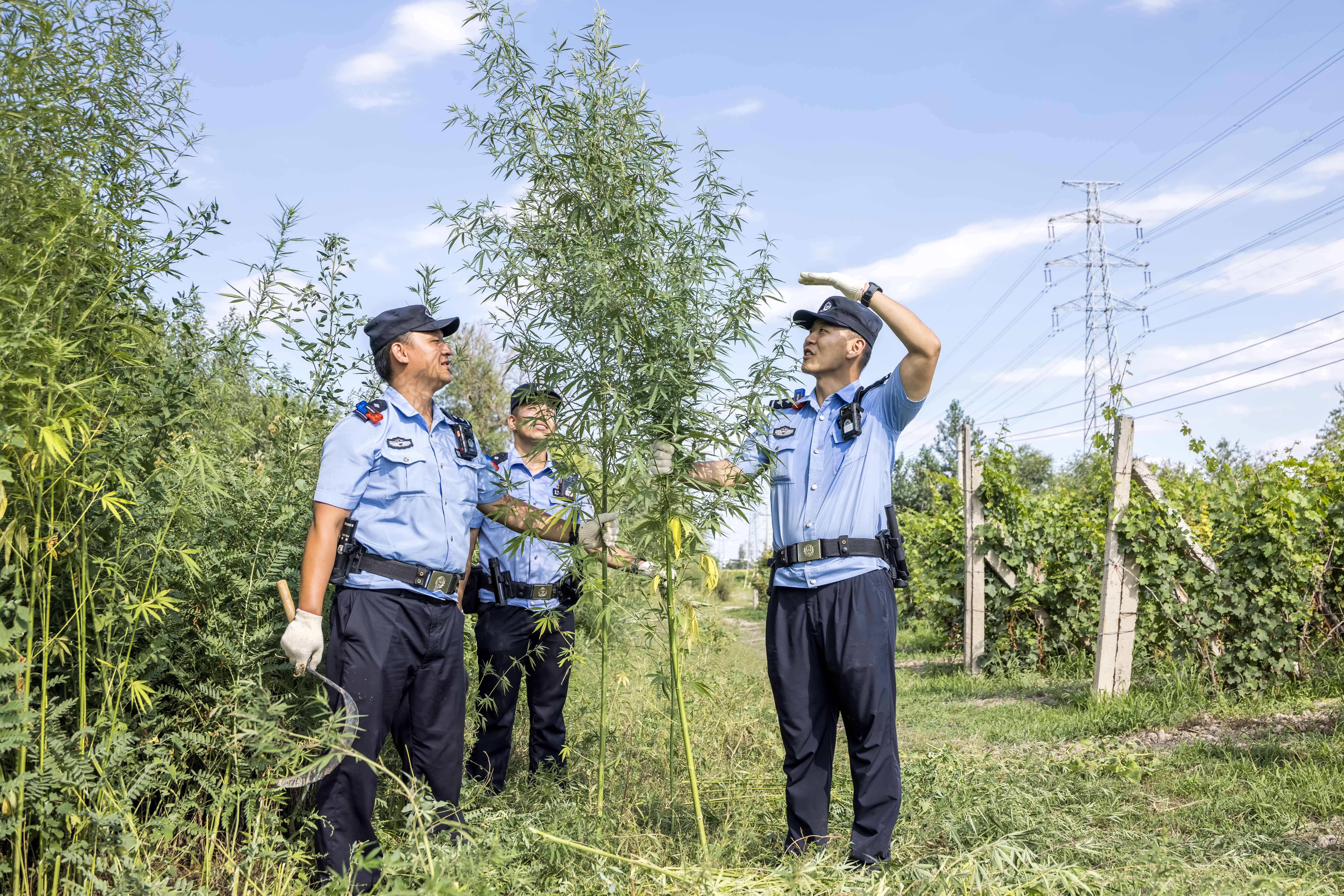 俄召见美临时代办，强烈抗议美方记者“挑衅行径”