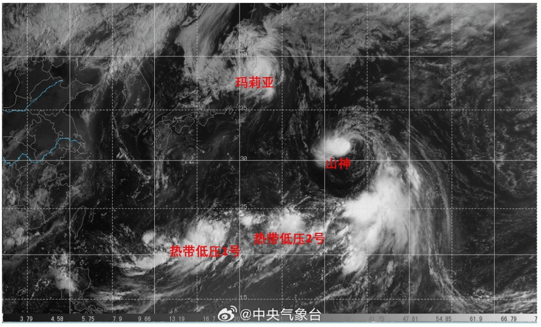 基层团讯｜“参观消防站，感受逆行的力量”走进消防救援大队，感受别样“火焰蓝”！