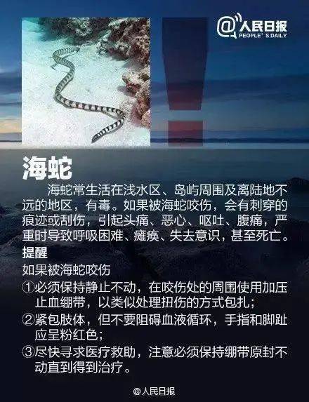 金币网澳彩-金币网澳彩手机端下载V6.3.2