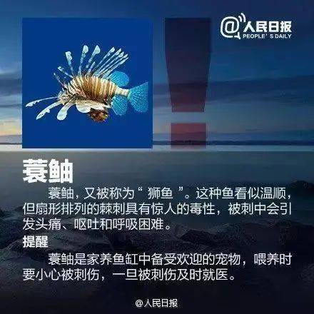 十年信誉娱乐九卅-十年信誉娱乐九卅旧版下载V6.1.6