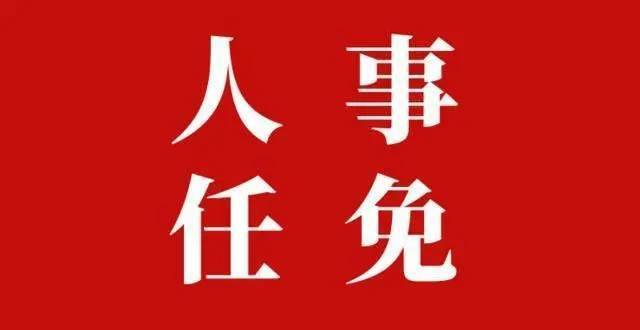 2024年首届“青春遇见绥阳”全国大学生暑期“三下乡”暨研学实践季启动