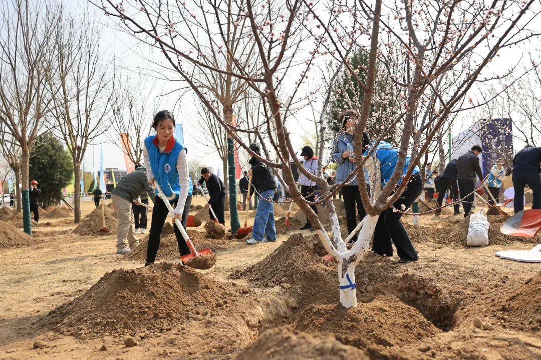 澳洲幸运5人工预测网页-澳洲幸运5人工预测网页android版下载V2.5.0