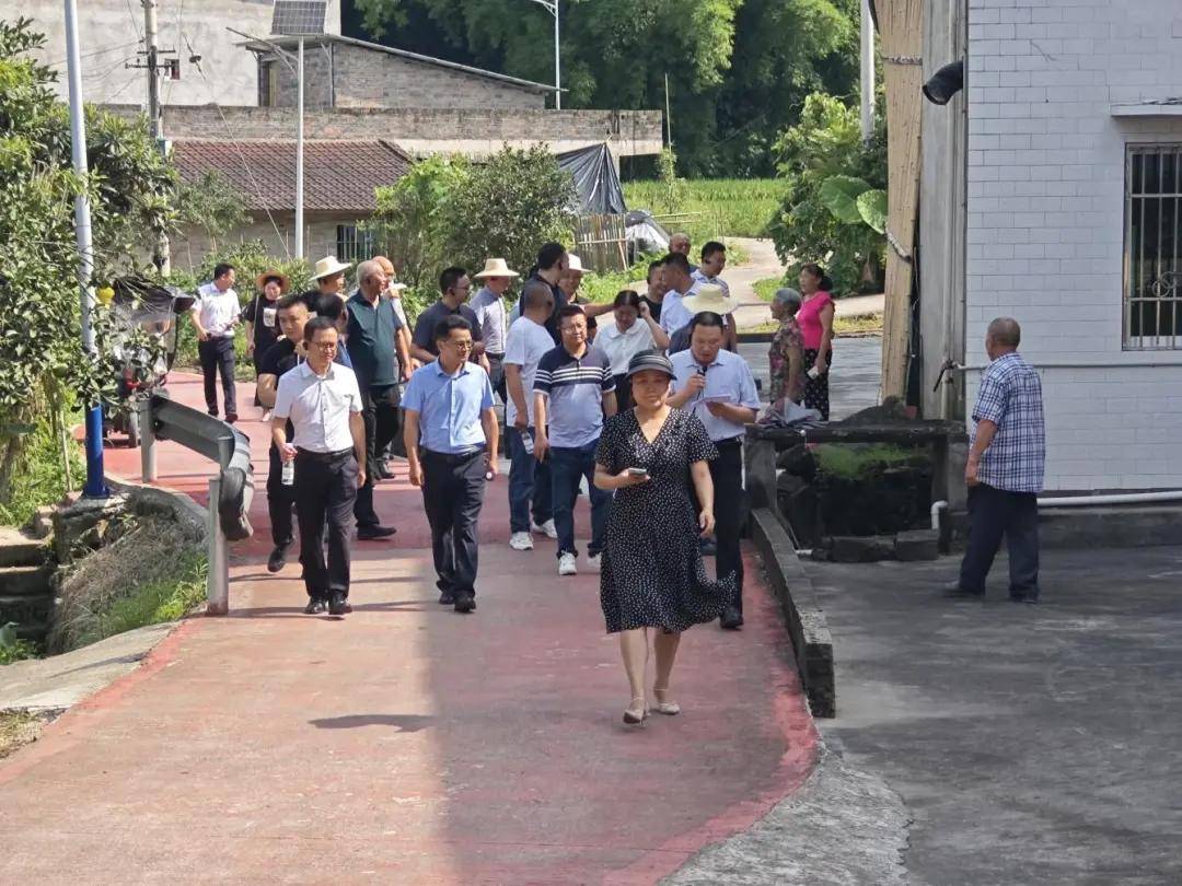 国家市场监督管理总局曝光民生领域违法广告案例：涉食药，最高罚款逾百万