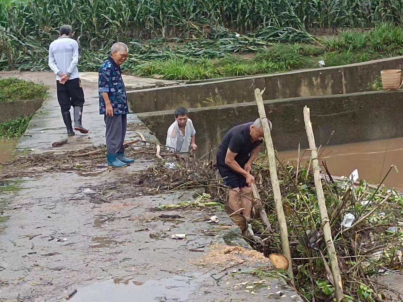 全国大学生赛艇锦标赛江城开赛