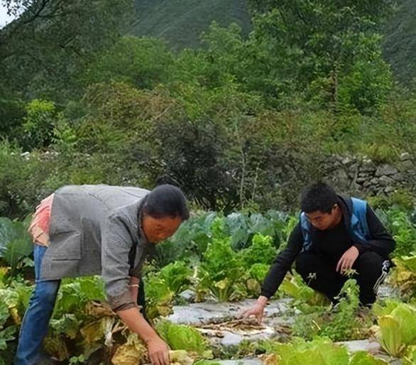 记者：多特签霍村21岁前锋拜尔进最后阶段，预计2天内达全面协议